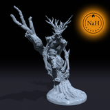 Gravebark, Harbinger of Rot | Tree Spirit Of Undeath | Forest Nightmare Miniature for Tabletop games like D&D and War Gaming