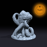 Squidspawn, the Lesser Tentacled Abomination Miniature for Tabletop games like D&D and War Gaming
